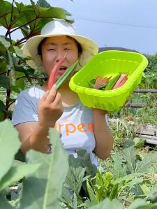 50 Seeds/pack HYBRID OKRA SEEDS-OKRA VEGETABLE SEEDS/Smooth Green Variety