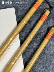 DuoYunXuan LongFlowing Hair Brush for Calligraphy Practice And Painting Suitable for Beginners Medium Regular Script Exam Grade