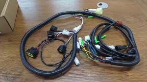 Bộ Dây Điện Chính Yamaha Raptor 2002-2004 660 660R YFM660R 5LP-82590-10-00 Bộ Dây Điện ATV Cho Xe Địa Hình