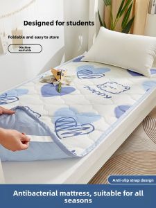 Gaorui | Student Dormitory Use Mattress Protector