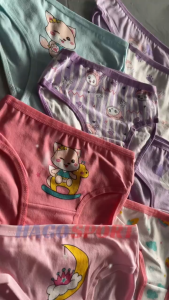 4PCS 1set kids underwear girl kids panties girl cotton kids boxer seluar dalam budak perempuan underpants kids girl