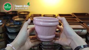 Pot Keramik Bonsai Mini Kaktus Sukulen