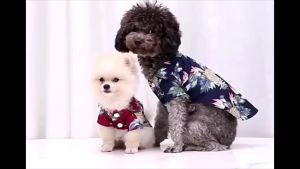 Dog Clothing Pet Clothing Cat Clothing Hawaiian Style Flower Pet Shirt Dog Breathable Cool Clothing