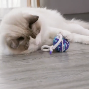 Đồ chơi bóng sợi len cho Mèo vui nhộn (mẫu mới) - Hara Pet Store