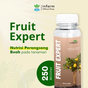 Infarm Fruit Expert Asupan Nutrisi Perangsang Buah