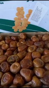 Kurma Sukari Al Qaseem 3 Kg Produksi Februari 2026 Fresh Ruthab Enak Legit Nawidashopjkt Jakarta