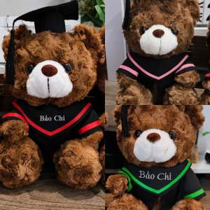 Gấu Bông Tốt Nghiệp Thêu Tên Theo Yêu Cầu ~30cm- tặng kèm túi– Quà Tặng Tốt Nghiệp Ý Nghĩa lưu giữ mãi