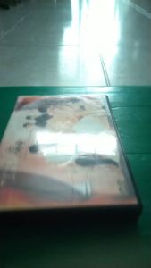 ROMANTIC PRINCESS SEASON 1 (4 แผ่น จบปี 1)