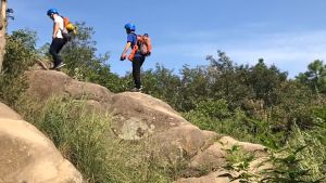 Figure 8 Descender 35KN Carabiner Climbing Safety Rock Climbing Descenders Untuk Safety Descender