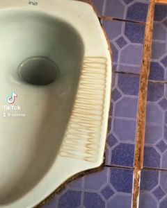 Serbuk Ajaib Pembersih Kerak WC Toilet Lantai Kamar Mandi Bak Toren Wastafel Panci Serbuk Pembersih Serbaguna ukuran 100gr