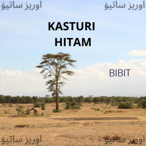 MINYAK WANGI SHOLAT KASTURI HITAM