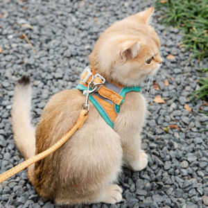 Teekland Pet Cat harness with leash Reflective Vest Pet Leash Harness for cat Soft Suede Kitten harness