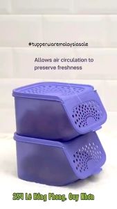 Tupperware กล่องเก็บกระเทียมระบายอากาศ Garlic N All Keeper