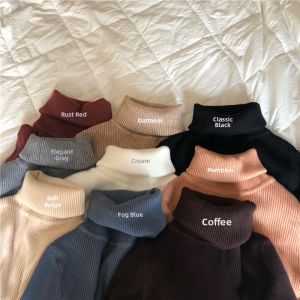 Slender Fitting Long Sleeve Pullover Turtleneck Sweater