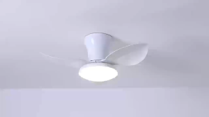 Ceiling Fan 56 inch 6 Speed with LED Lights and Remote Dimmable Noiseless DC Reversible Motor