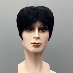 TSE Mens Human Hair Wig Korean Style Fluffy Middle Short Full Wig Natural Realistic RW04