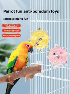 VOA | Entertainment & Educational Parrot Toy