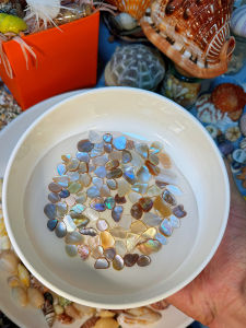 Exquisite Natural Seashell Slices Pearl Mother of Pearl Fragment Sea Snail Bone Polished Vibrant Colors Irregular Shape Home Decor