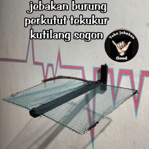 perangkap jeplak burung tekukur perkutut kutilang sogon