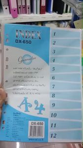💙อินเด็กซ์พลาสติก INTOP OST รุ่น DX-650 PP คั่นเอกสารชนิด 12หยัก ขนาดA4 (1-12) 6สี มีตัวเลข 12แผ่น (ราคา/ชุด) | KKNT