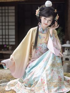 Oriental Speech [Mirror Flower Moon] Original Womens Han Chinese Clothing Ming round Neck Placket Embroidered Pipa Sleeve Horse-Face Skirt Fall and Winter