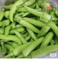 1KG ỚT SỪNG XANH ( ĐẶC SẢN HUẾ ). 