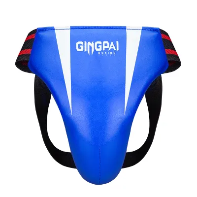 GINGPAI | Combat Sports Groin Guard