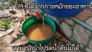 รำอีเอ็ม (EM Bokashi) 800กรัม รำโบกาฉิ หัวเชื้อสำหรับหมักขยะอาหารจากครัว