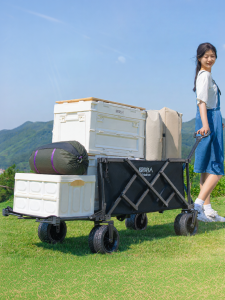 The Primitive | Foldable Camping Cart Handcart