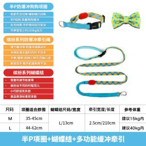 HiDREAM Colorful Dog Leash Half P Collar Small Dogs Neck Circle Large Dogs Traction Rope Walking Dogs Pet Supplies Accessories