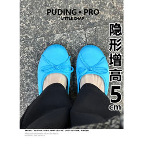 French Style Ballet Bean Shoe Womens Spring New Arrival 2025 Heels Inner Heightening Mary Jane Single Shoes Leather Upper