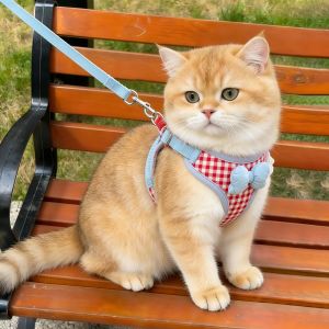 Petone dOrage | Adjustable Non-Choking Breathable Bow Decorative Cat Harness Lead