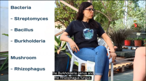 Terra Aquatica StreptoLogic (Root zone beneficial microorganisms Mycorrhizal Fungus Streptomyces Bacillus & Burkhoderia Bacteria)