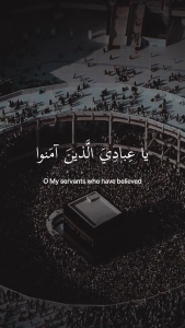 Halal Quran The Holy Koran Arabic and English Translations Audio Recital Edition OEM DVD Version Quran