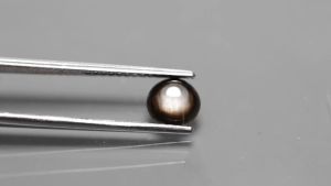 0.70 ct พลอยดิบ พลอยสตาร์ ( 6 Star Sapphire) ไข่หลังเบี้ย บางกะจะ