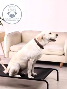 Elevated Pet Bed Dog Sleeping Bed Elevated Dog Bed Elevated Dog Bed Use Durable Frame and Breathable Mesh Ventilation Rapid Heat Dissipation Comfortable Dog Bed Large Cat Mat Dog Mat Portable Folding Bed for Dogs Puppy Bed Dog Bed Elevated