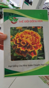 Hạt Giống Hoa Vạn Thọ Ban Mai Cọp F1 TMAR220 THẾ GIỚI GIỐNG HOA (Gói 100 hạt) - Date mới (Màu chuẩn)