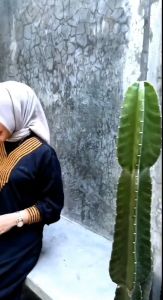 Gamis Rayon Renda Sultan: Pakaian Wanita Elegan & Busui Friendly LD 110