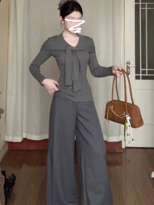 Gray Long Sleeve Knitted Slim Fit T-Shirt Womens Casual Style V-Neck Top for Autumn Winter Office And Date Wear