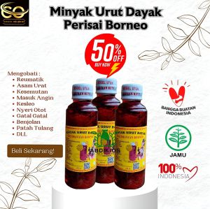 Minyak urut dayak Obat gosok pijat asli Perisai borneo ibu ida dayak Kalimantan kemasan 250ml