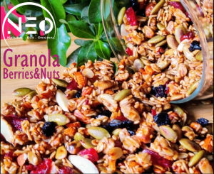Granola 1kg Neo Sereal Makanan Sehat High Quality Sereal Sehat Sarapan Praktis Murah Bergizi