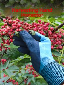 TAODUN | Puncture Resistant Gloves