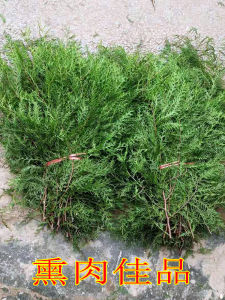 Chongqing Wild Flat Cypress Leaf & Black Hair Smoked Sausage: Agricultural Products & Pine Cypress Decoration