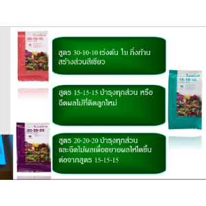 ปุ๋ย ปุ๋ยกิฟฟารีน ปุ๋ยทางใบ ปุ๋ยเกล็ด ฮอร์โมนทางใบ โกรแม็กซ์ อาหารหลัก รวมทุกสูตร Max N-P-K ลดต้นทุน เพิ่มผลผลิต ละลายน้ำง่าย ไม่อุดตันหัวฉีด เพิ่มผลผลิตไว ของแท้ ออกผลเร็ว ใช้ง่าย ฉีดพ่นได้กับผักสวนครัว