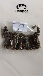 Biji Angkung Kering Berkualitas