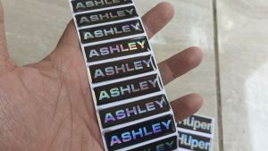 Stiker Timbul Emblem Logo ASHLEY Resin Timbul Lentur Terbaru Untuk Miniatur Sound
