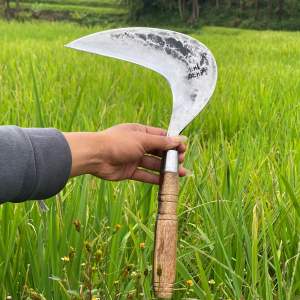 (Pengaritan) Sabit Dewi Bintang Super Tajam