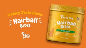 Zesty Paws Hairball Bites for Cats Gut Health - Bacon Flavor (60 Soft Chews) (EXP:09 2026)