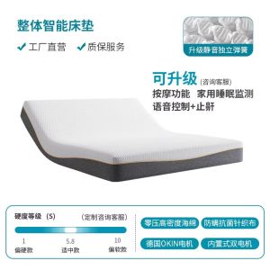Smart Adjustable Electric Bed QuanWan 2025 New Model Luxury Master Bedroom Leather Bed with Massage Modern Simple Style