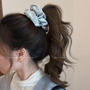 Retro Silk Rope Hair Ties Womens Stylish Versatile Hair Bands Autumn Winter Hair Accessories Fashionable Hairbands Hair Ropes